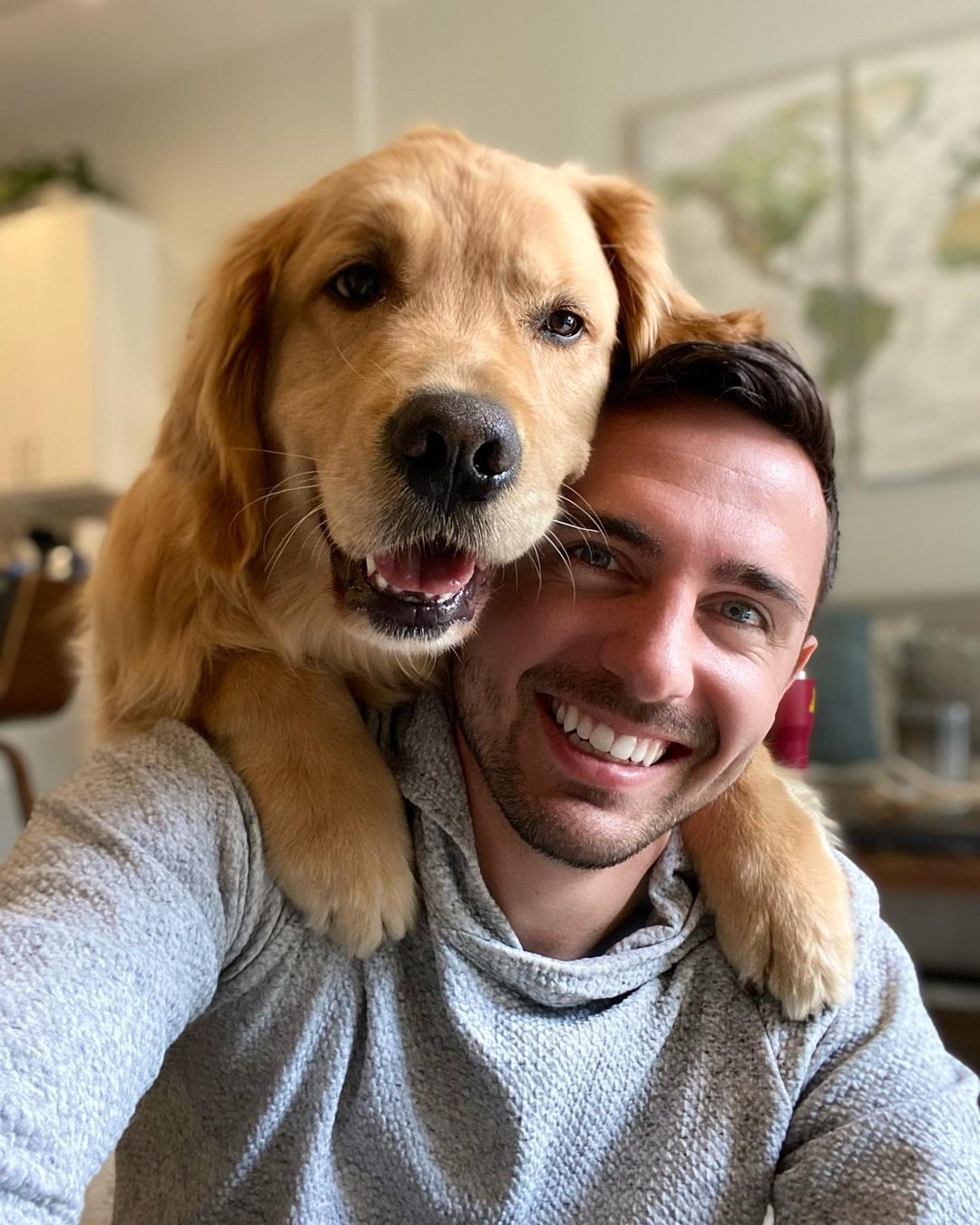Three white puppies in a wicker basket